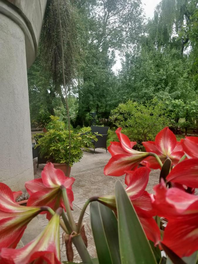 Bed and Breakfast Da Nonna Mariuccia Casalbuono Экстерьер фото